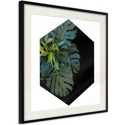 Arkiio Affisch Plant Hexagon (Square) [Poster] 30x30 Poster